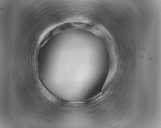 X0000083621344200702260944