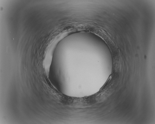 X0000083621345200702260943