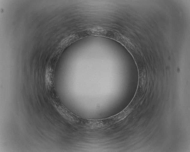 X0000083621346200702260943