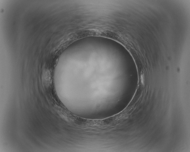 X0000083621347200702260943