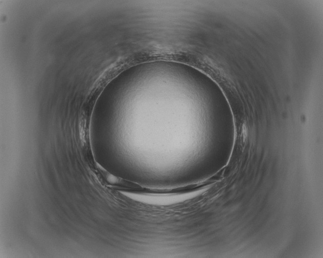 X0000083621348200702260943