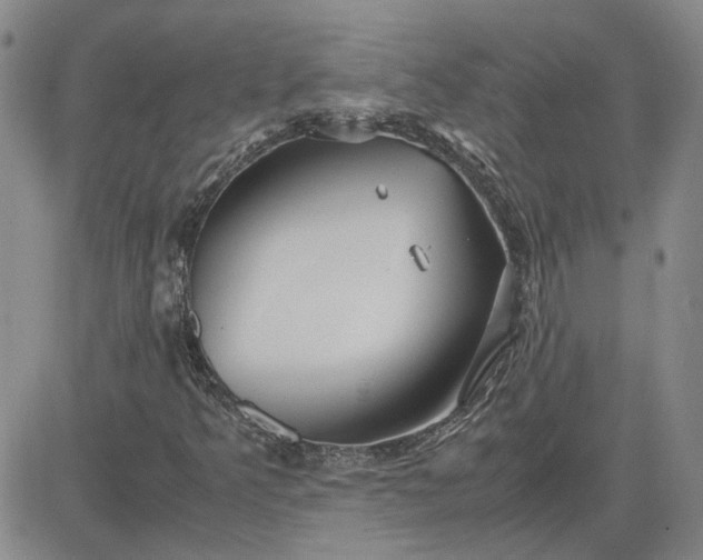 X0000083621349200702260943