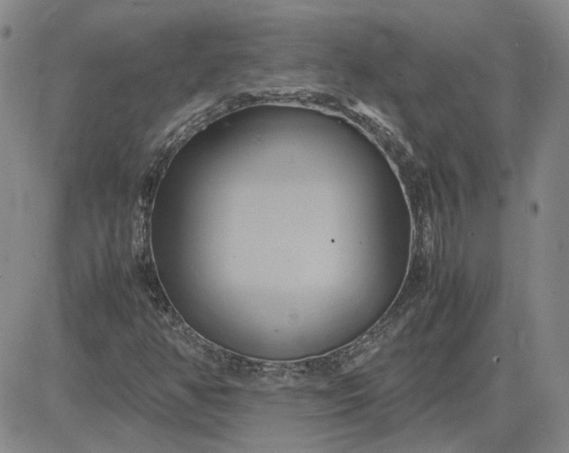 X0000083621350200702260943