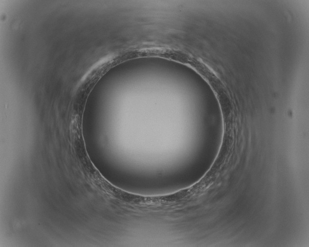 X0000083621351200702260943