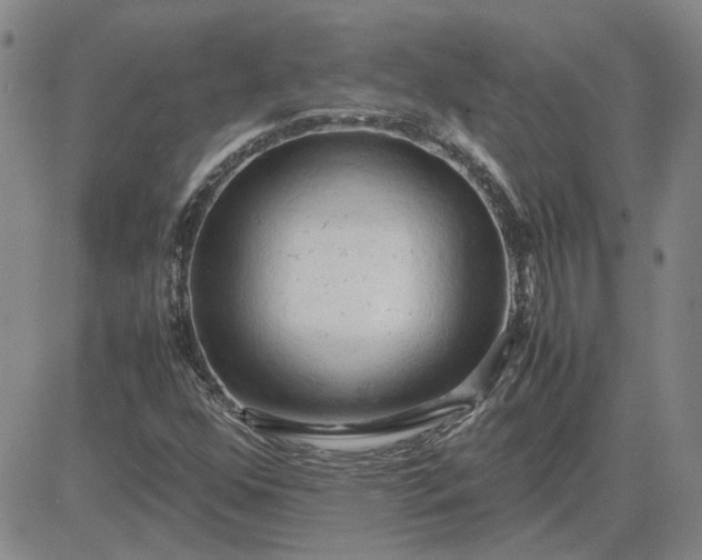 X0000083621352200702260943