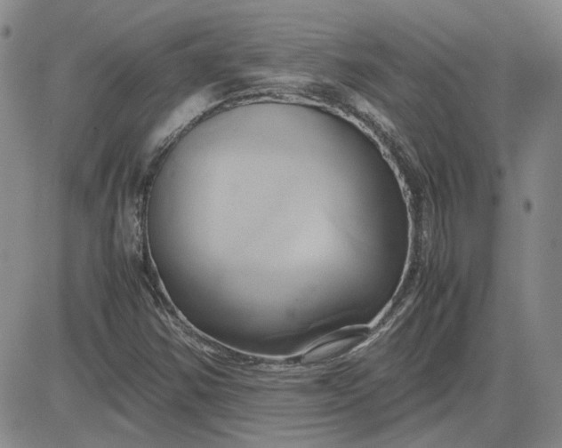 X0000083621354200702260943