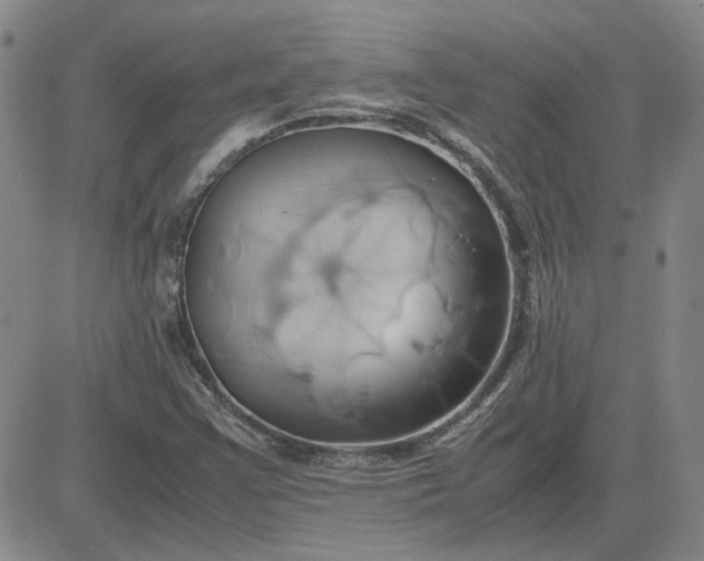 X0000083621355200702260943