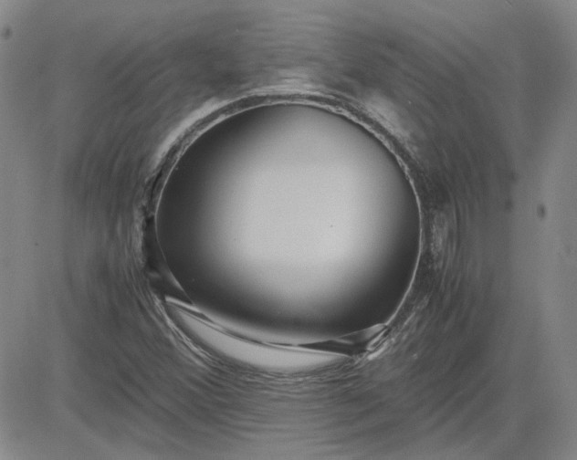 X0000083621356200702260943