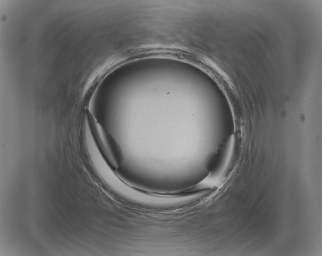 X0000083621357200702260943