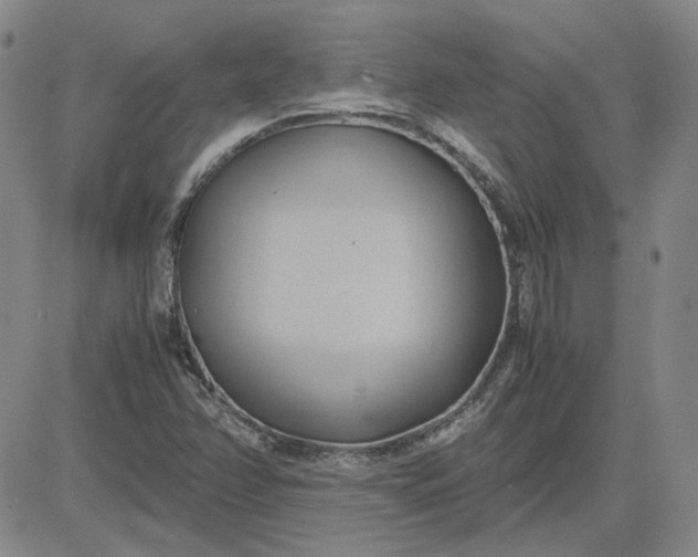 X0000083621358200702260943