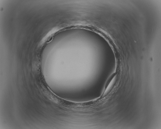 X0000083621359200702260943