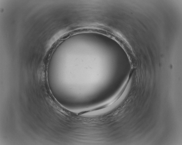 X0000083621360200702260943