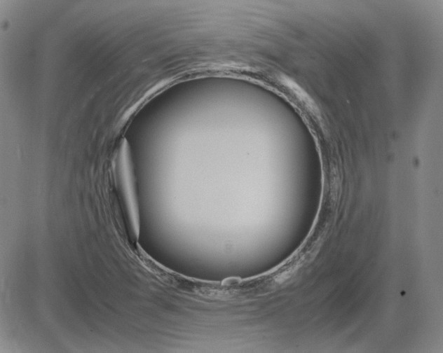 X0000083621361200702260943