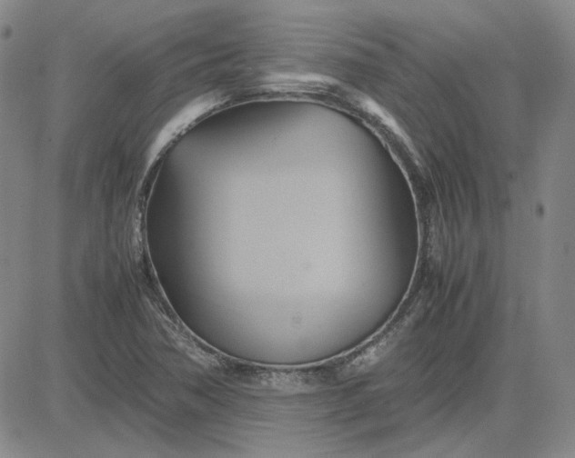 X0000083621362200702260943