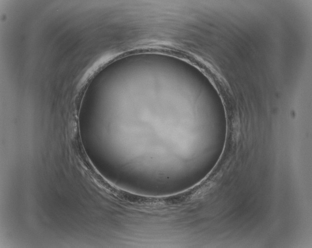 X0000083621363200702260943