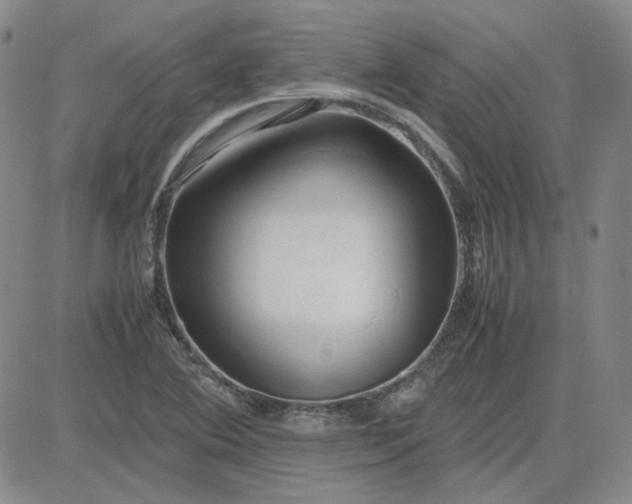 X0000083621364200702260943