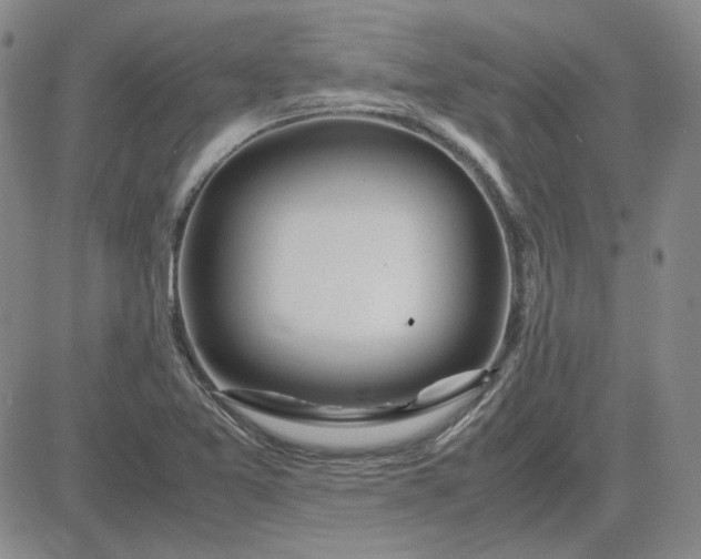 X0000083621365200702260943