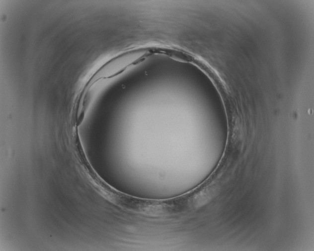 X0000083621367200702260942