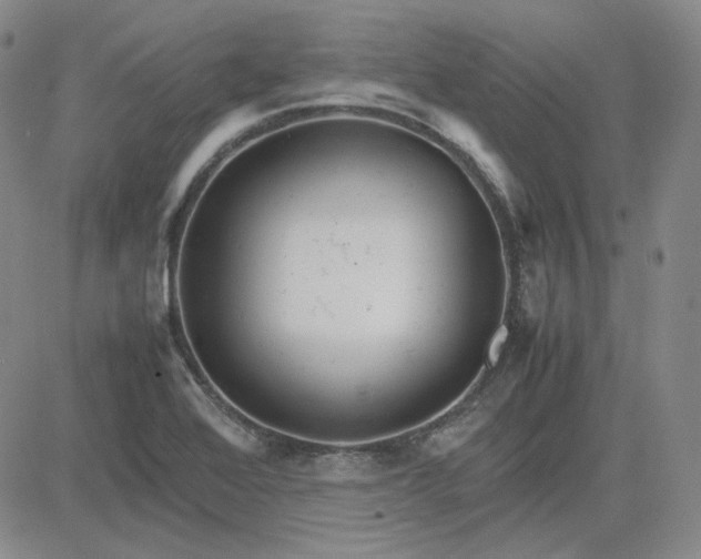 X0000083621368200702260942