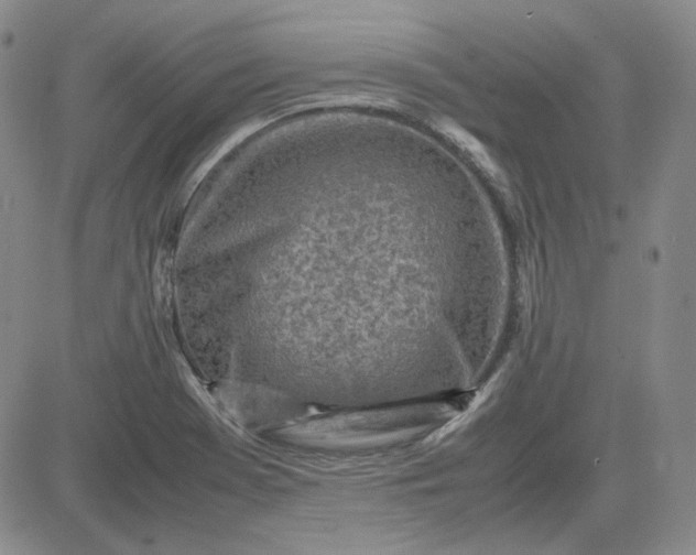 X0000083621369200702260942