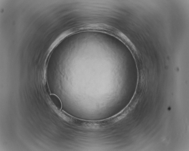 X0000083621370200702260942