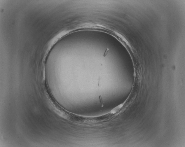 X0000083621371200702260942