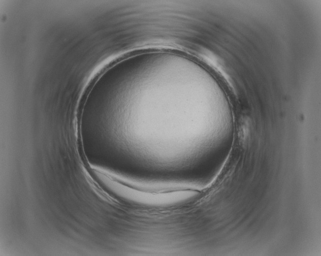 X0000083621372200702260942