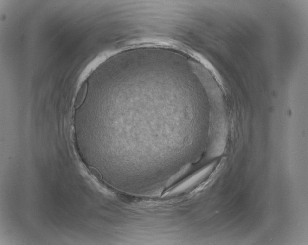 X0000083621373200702260942