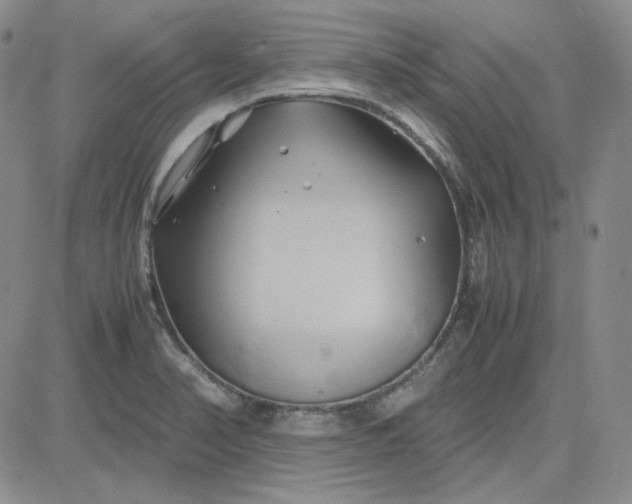 X0000083621374200702260942