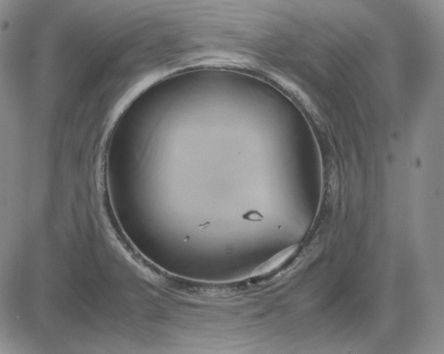 X0000083621375200702260942