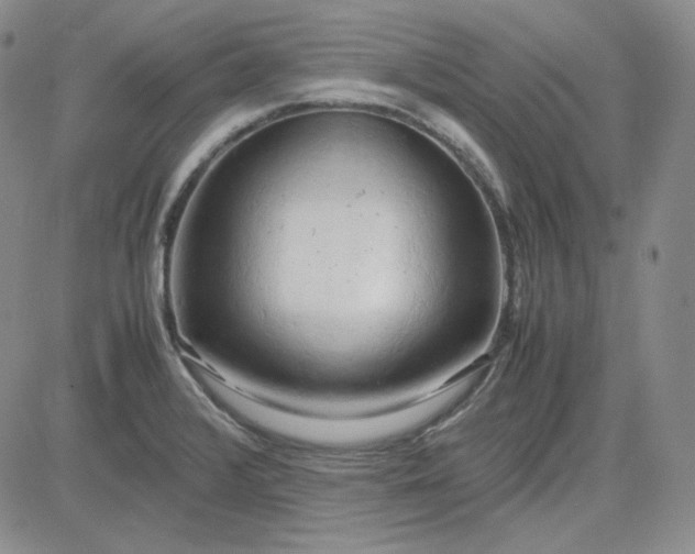 X0000083621376200702260942