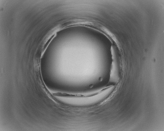 X0000083621377200702260942