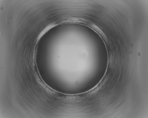 X0000083621378200702260942