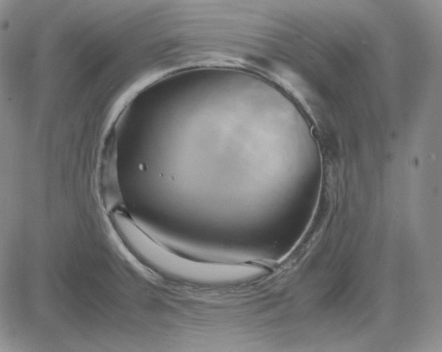 X0000083621379200702260942