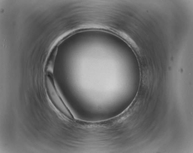 X0000083621380200702260942