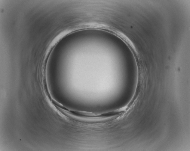 X0000083621381200702260942