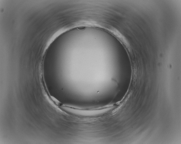 X0000083621382200702260942