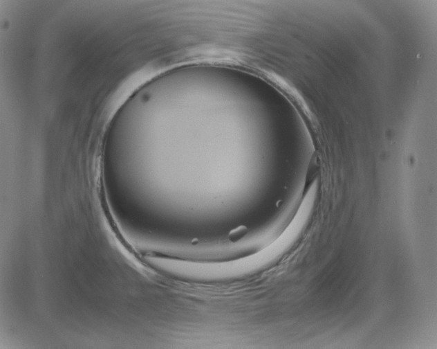 X0000083621383200702260942