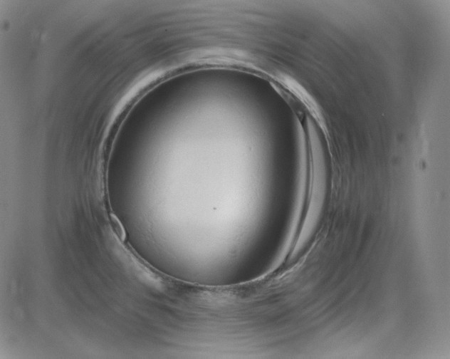 X0000083621384200702260942