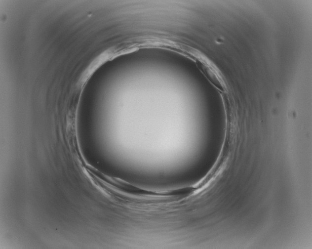 X0000083621385200702260942