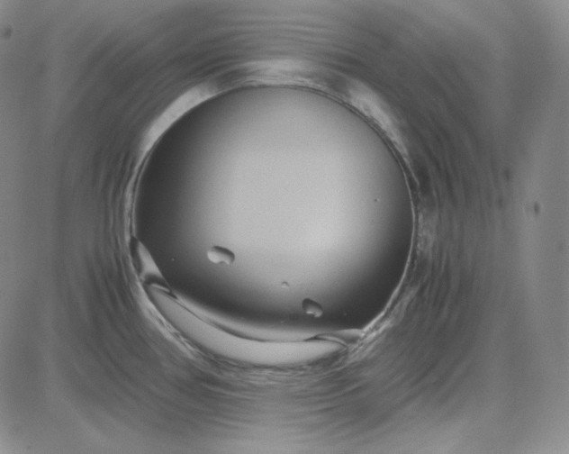 X0000083621386200702260942