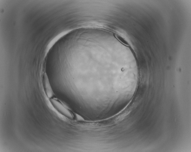 X0000083621387200702260942