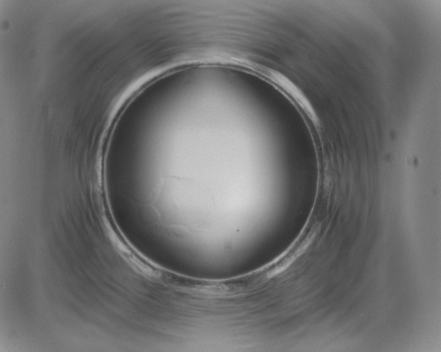 X0000083621388200702260942