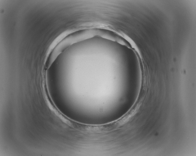 X0000083621389200702260942