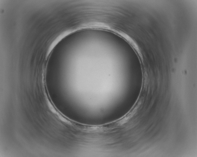 X0000083621390200702260942