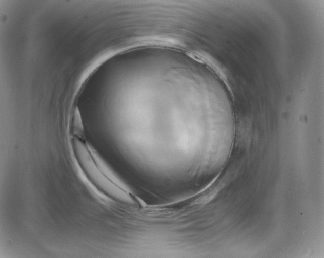 X0000083621391200702260942