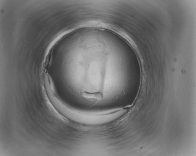 X0000083621392200702260942