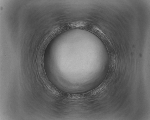 X0000083621393200702260941