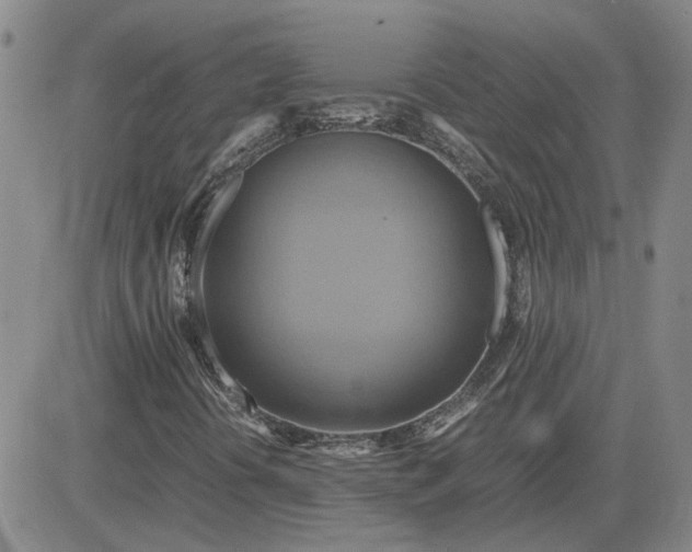 X0000083621394200702260941