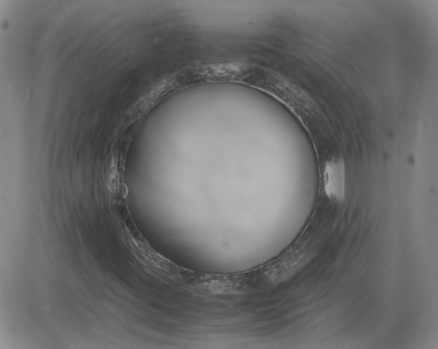 X0000083621395200702260941